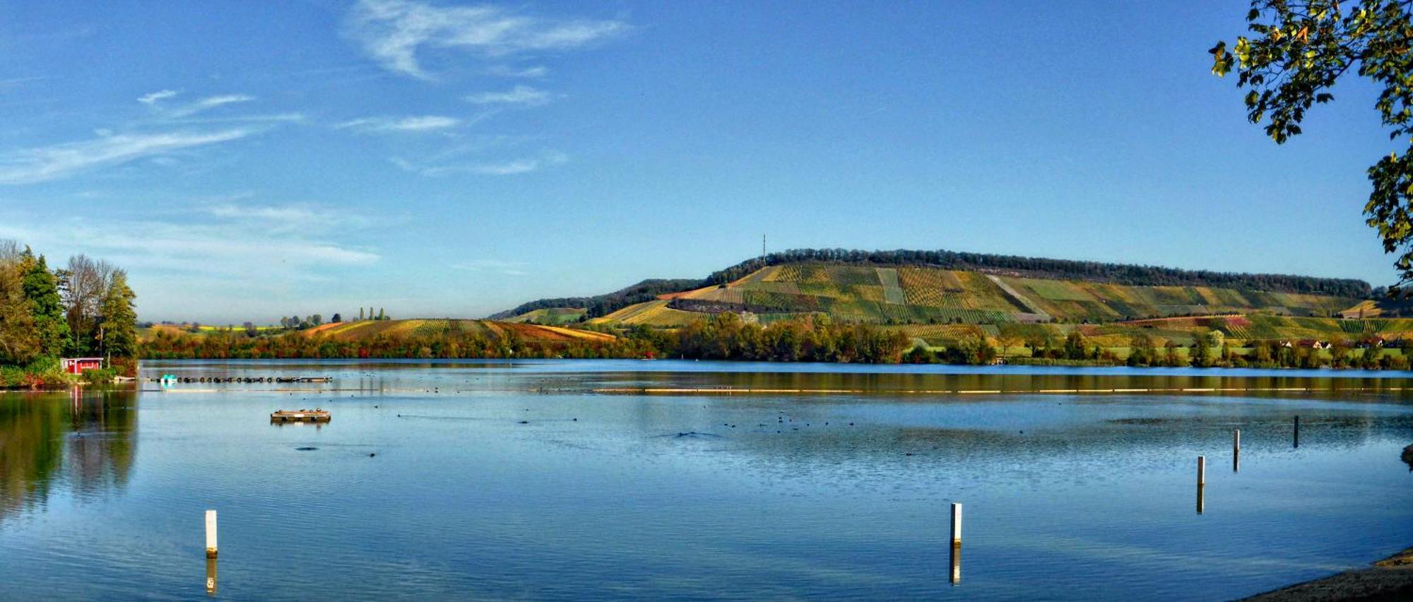 Gaestehaus Und Weingut Erich Hirth Obersulm