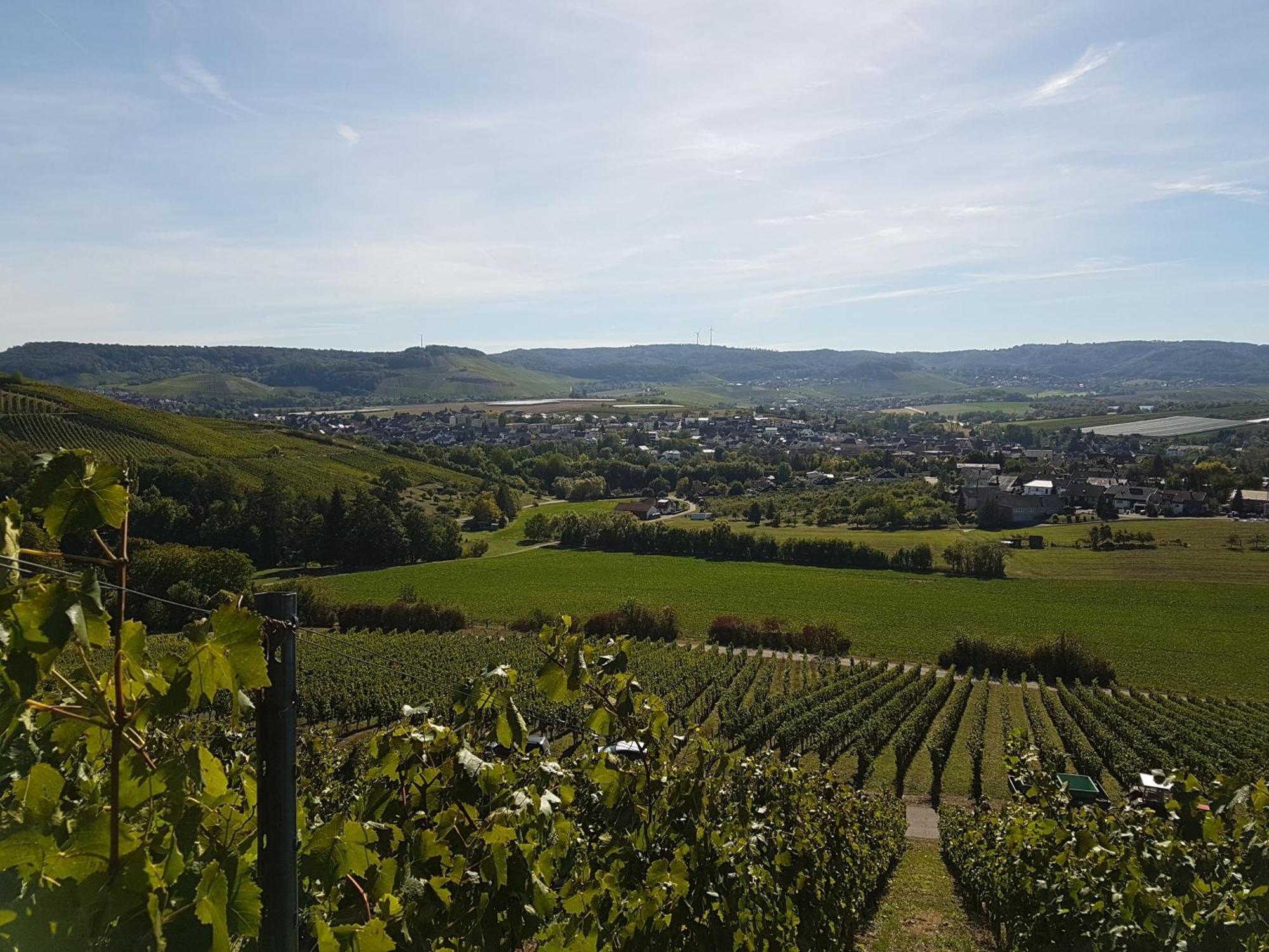 Apartament Gaestehaus Und Weingut Erich Hirth *